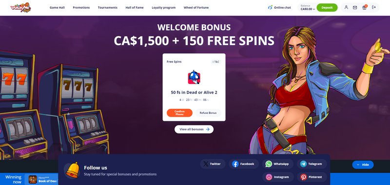 Vulkan Vegas : une expérience de jeu inoubliable? - aperçu